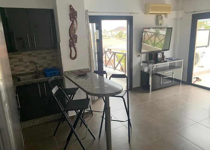 公寓 Golf Del Sur Parque Albatros 417 *